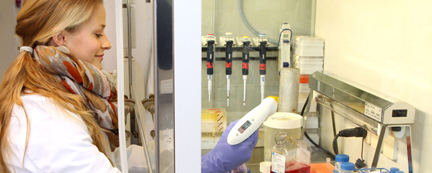 The Mainz Screening Center (MSC) is interested in natural substances that can be isolated from fungi, bacteria, or sponges. (photo: Stefan F. Sämmer) The Mainz Screening Center (MSC) is interested in natural substances that can be isolated from fungi, bacteria, or sponges. (photo: Stefan F. Sämmer)
