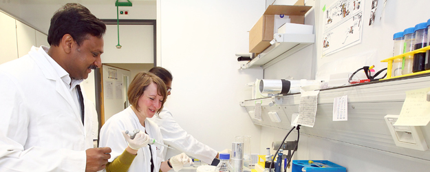 Professor Krishnaraj Rajalingam (left) and his international work group are interested in a class of molecules that function as signaling devices in cells. (photo: Stefan F. Sämmer) Professor Krishnaraj Rajalingam (left) and his international work group are interested in a class of molecules that function as signaling devices in cells. (photo: Stefan F. Sämmer)