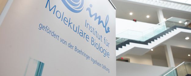The Institute of Molecular Biology (IMB) is a new center for life sciences on the campus of Johannes Gutenberg University Mainz (JGU). (photo: Thomas Hartmann)