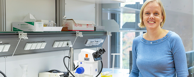 Professor Marion Silies and her team research the organization and function of circuits in the visual systems of the fruit fly. (photo: Stefan F. Sämmer) Professor Marion Silies and her team research the organization and function of circuits in the visual systems of the fruit fly. (photo: Stefan F. Sämmer)