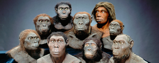 (© scientific reconstructions: W. Schnaubelt & N. Kieser - Atelier WILD LIFE ART for Hessisches Landesmuseum Darmstadt) (© scientific reconstructions: W. Schnaubelt & N. Kieser - Atelier WILD LIFE ART for Hessisches Landesmuseum Darmstadt)