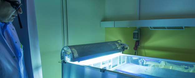 A view of the photodynamic therapy treatment room (photo: Peter Pulkowski)