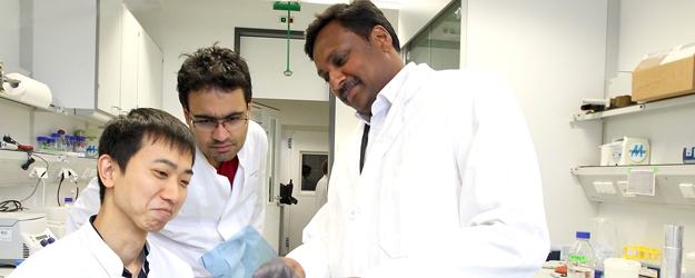 Professor Krishnaraj Rajalingam (right) and his international work group, the Molecular Signaling Unit, do basic research that is important to many medical fields. (photo: Stefan F. Sämmer)