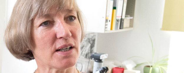 Dr. Margarethe König has compiled some 4,000 specimens in the JGU Archaeobotanical Reference Collection. (photo: Peter Pulkowski)