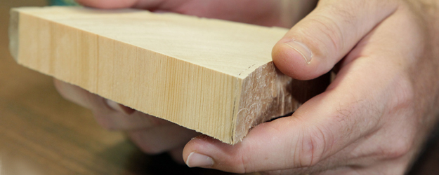 By examinating those sections of trees, an international group of researchers calculated the climatic cooling trend over the past two millennia more precisely than ever before. (photo: Stefan F. Sämmer)