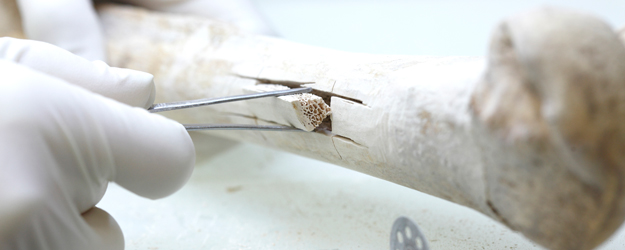 The ultra-clean laboratories at the JGU Institute of Anthropology provide best standards for premium quality palaeogenetic research. (photo: Thomas Hartmann)