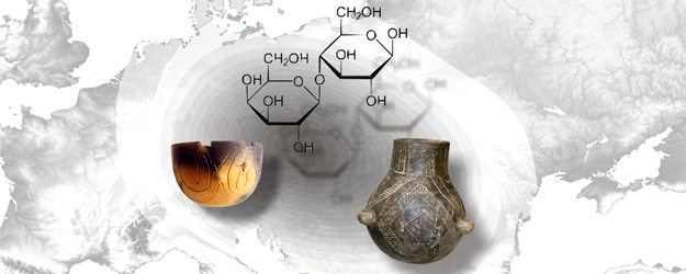 The map shows the origins of lactase persistence in Europe about 7,500 years ago, the pottery stands for the Linear Pottery culture that spread with the lactase persistence. (ill./©: Sabine Schade-Lindig, Joachim Burger, and Yuval Itan)