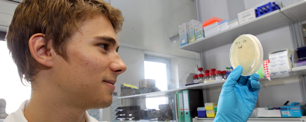 The IMB group in which Alan Kavšek is a guest researcher is working with a protein that is important for DNA repair in cells. (photo: Stefan F. Sämmer)